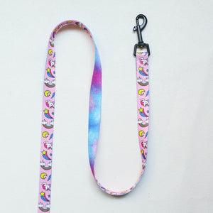 Bright Harnesses + Leashes