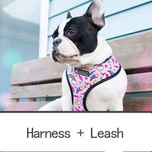 Load image into Gallery viewer, Bright Harnesses + Leashes
